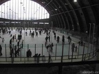 2010 11
